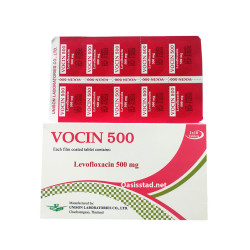 Vocin 500 mg